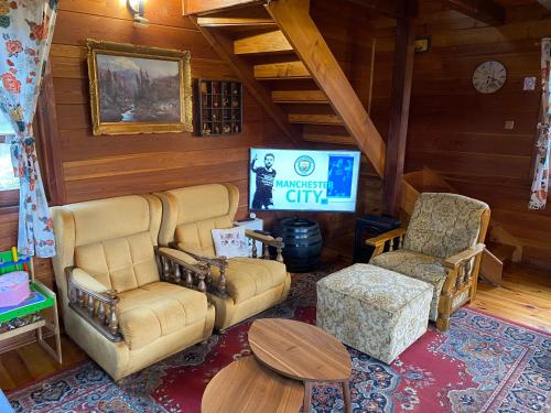 杜加雷萨House for rent Mrežnica的客厅配有沙发、两把椅子和电视