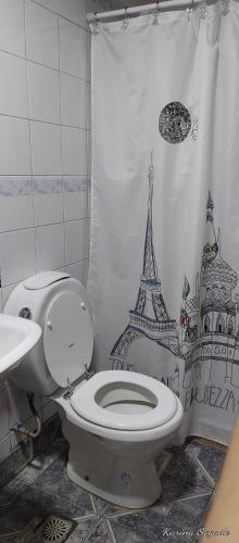 乌斯怀亚Lo de Lucy的浴室设有卫生间和塔式淋浴帘