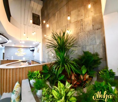 头顿Aloha Hotel Vung Tau的墙上有盆栽植物的餐厅