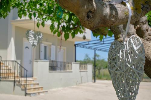 扎金索斯镇Morfis Getaway Apartment的挂在建筑物前的树上的金属篮子