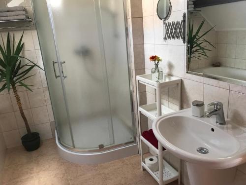 科马尔诺Apartmán Silvia的带淋浴和盥洗盆的浴室