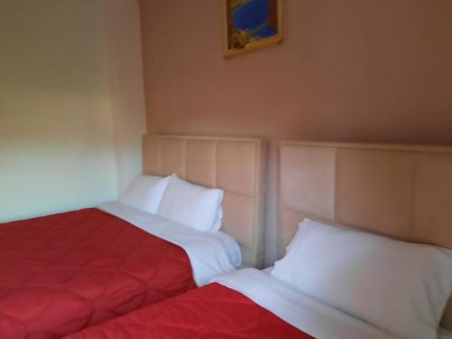 戈里察Sun& Relax Home的两张睡床彼此相邻,位于一个房间里