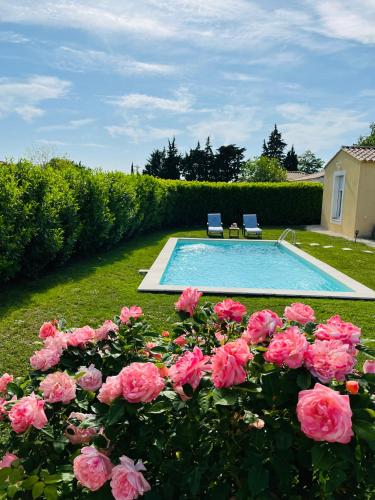 索尔格河畔利勒Un coin tropical en Provence !的院子里的游泳池,有粉红色玫瑰