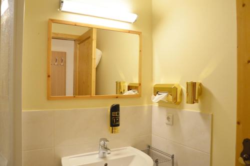 施特罗布尔霍费巴乌古特酒店的一间带水槽和镜子的浴室