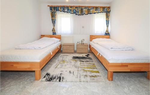 斯利耶巴赫Amazing Home In Schlierbach With Kitchen的配有两张单人床的客房,铺有地毯