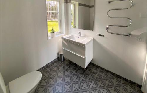斯切灵加德Beautiful Home In Skillingaryd With Wifi的一间带水槽和卫生间的浴室以及窗户。