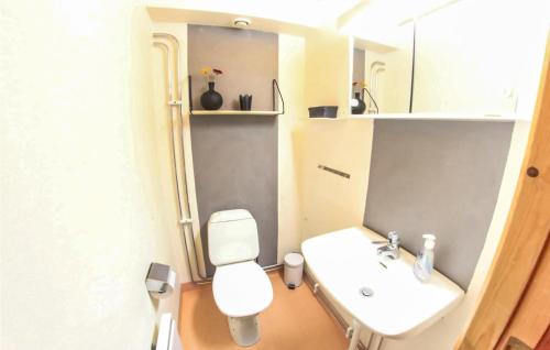 布拉纳斯Amazing Home In Sysslebck With House A Mountain View的浴室配有白色卫生间和盥洗盆。