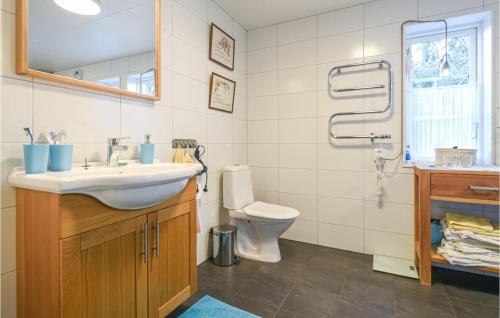 法尔雪平Stunning Home In Falkping With Kitchen的一间带水槽和卫生间的浴室