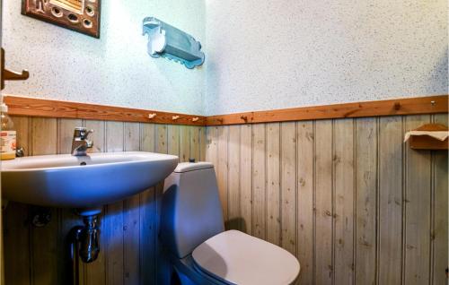 利雪平Amazing Home In Lidkping With Kitchen的一间带水槽和卫生间的浴室