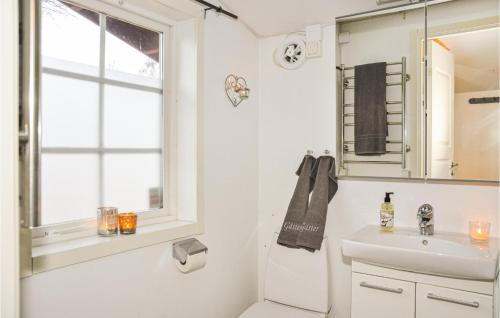 斯特兰奈斯3 Bedroom Amazing Home In Strngns的白色的浴室设有水槽和窗户。