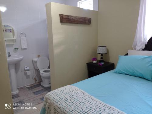 圣地亚哥洛斯卡巴Paraiso Hortensia Ecolodge的一间卧室配有一张床,浴室设有卫生间