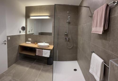 埃布斯Ferienwohnung Ott的带淋浴、盥洗盆和淋浴的浴室