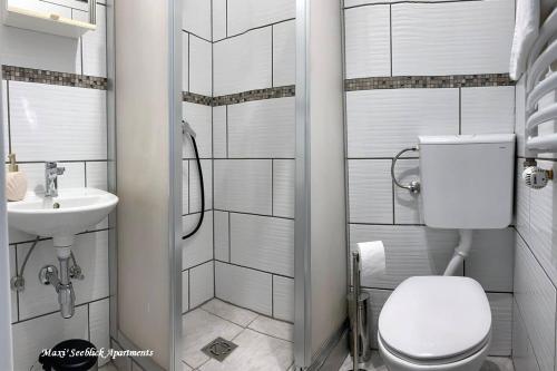 塞博登Maxi'Seeblick Apartments的一间带卫生间和水槽的浴室
