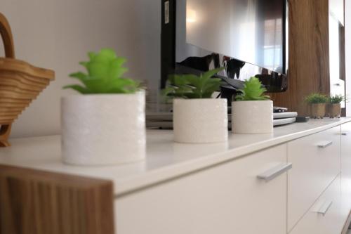 莫莱拉APARTAMENTO MORAIRA - 3 Habitaciones的三个盆栽植物坐在镜子前的柜台上