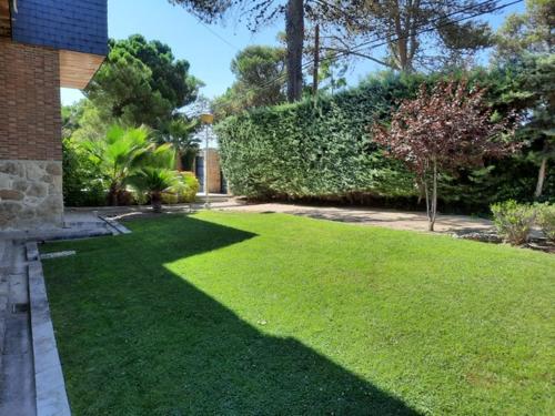 比利亚维西奥萨-德奥东patricia的一座绿草成荫的院子,一座砖砌的建筑