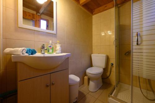 ArgyrádesVilla Rosa的一间带水槽、卫生间和淋浴的浴室
