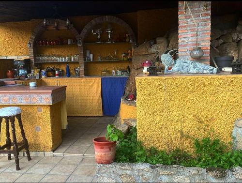 曼萨纳雷斯-埃尔雷亚尔Lantica roccia的厨房设有柜台,黄色墙上有鸟儿