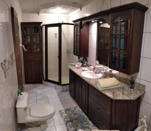 阿拉胡埃拉Alexander b&b的一间带水槽、卫生间和镜子的浴室