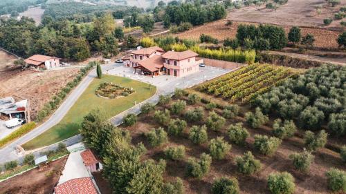 切普拉诺Agriturismo ciociaro " il colle " HOTEL RISTORANTE的享有葡萄园庄园的空中景致