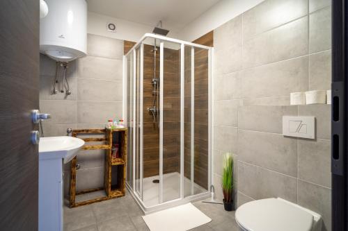 哈卡尼Bodza Apartmanház的带淋浴和盥洗盆的浴室