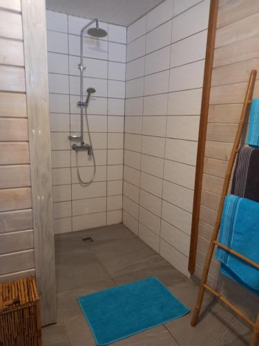 勒迪亚芒VILLA DIAMANTILLES - MAISON D'HOTES的带淋浴的浴室(铺有蓝色地毯)