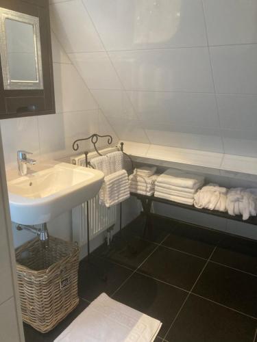 西姆斯科克BBOosterweg3 Studio的浴室配有盥洗盆、镜子和毛巾