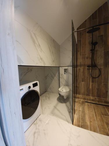 斯图托沃MIERZEJA PARK 13B的带淋浴和卫生间的浴室。