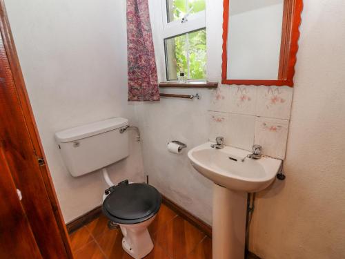 斯尼姆Gortagown Cottage的一间带卫生间和水槽的小浴室