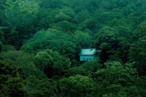 Wayanad Wild - Rainforest Lodge by CGH Earth鸟瞰图