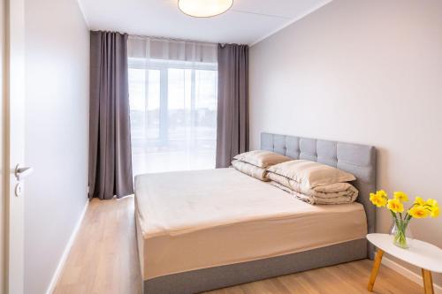 塔尔图Siili Apartment-free parking的一间卧室设有一张床和一个窗口
