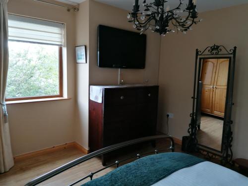 卡林福德Carlingford Mountain and Sea Views的一间卧室配有电视、镜子和一张床