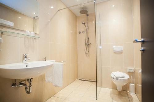 温特贝格温特贝格度假村酒店的带淋浴、盥洗盆和卫生间的浴室