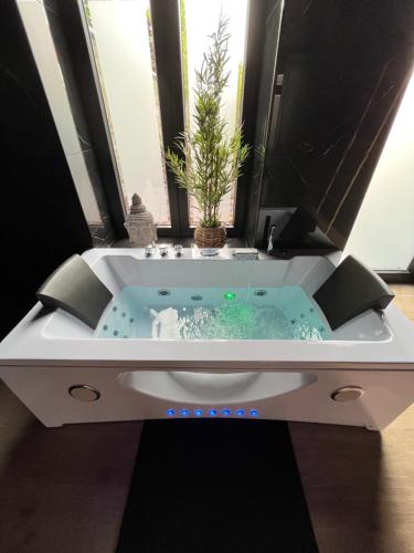 博兰L'heure de la détente Spa privatif的一间带浴缸的浴室,里面装有植物