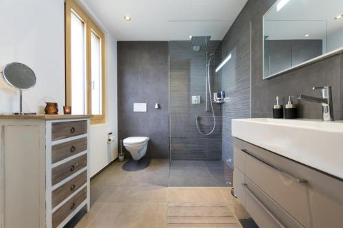 菲施Zer Treichi Appartements的浴室配有卫生间、盥洗盆和淋浴。