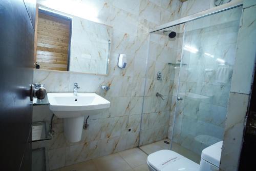 MādhopurComfort Inn Coral River的一间带水槽、淋浴和卫生间的浴室