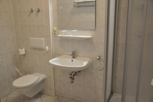 Elxleben艾尔克斯勒本酒店的浴室配有卫生间、盥洗盆和淋浴。