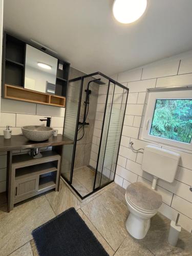 UnterwellenbornSaale-Residenz的浴室配有卫生间、淋浴和盥洗盆。