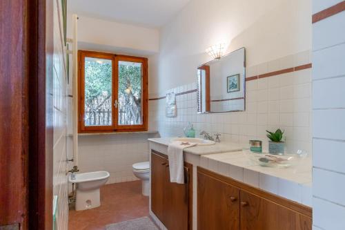 卡斯蒂里昂纳·德拉佩Belvedere apartment的一间带水槽和卫生间的浴室以及窗户。