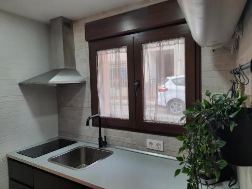 圣莱奥纳尔多德阿格Casa El Viaje的厨房设有水槽和窗户。
