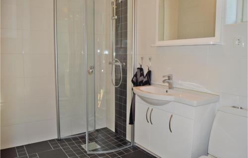 格里斯勒港Awesome Home In Grisslehamn With Kitchen的带淋浴、盥洗盆和卫生间的浴室