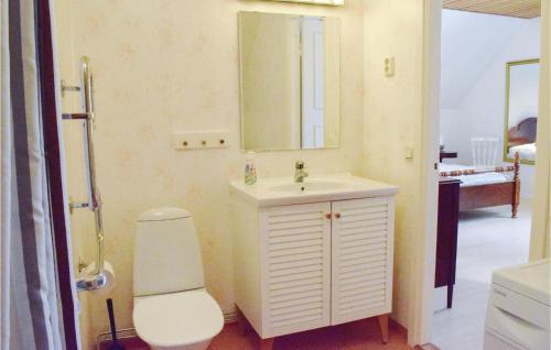 斯塔德Nice Apartment In Ystad With 2 Bedrooms And Wifi的一间带水槽、卫生间和镜子的浴室