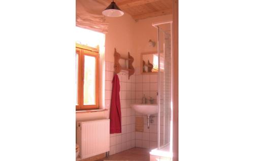 AmeloseStunning Home In Dautphetal With Kitchen的一间带水槽和淋浴的浴室