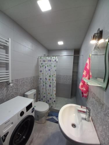 第比利斯The Yellow Brick Apartment的一间带水槽和洗衣机的浴室。