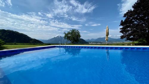 萨尔茨堡斯科恩奥西赫特酒店的一个大型蓝色游泳池,后面是群山