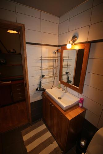 派尔努赛斯公寓的一间带水槽和镜子的浴室
