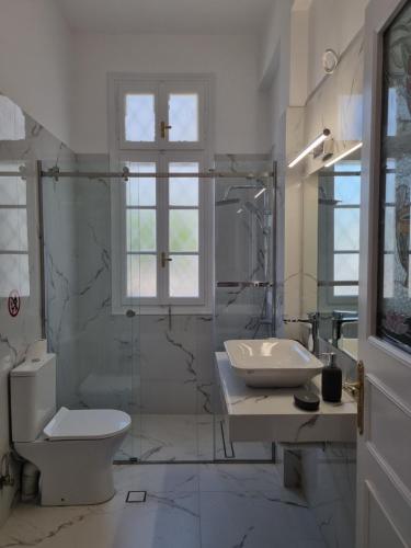 斯巴达Hall Apartments & Rooms - by Avelink的一间带水槽、卫生间和淋浴的浴室