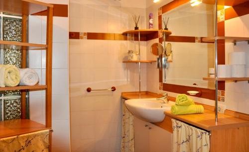 多博沃Apartment in the heart of Brda wine region, Boris and Darinka Marinič的一间带水槽和镜子的浴室