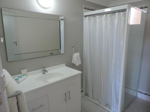 苏塞克斯入口苏塞克斯海岸酒店的浴室配有盥洗盆和带镜子的淋浴