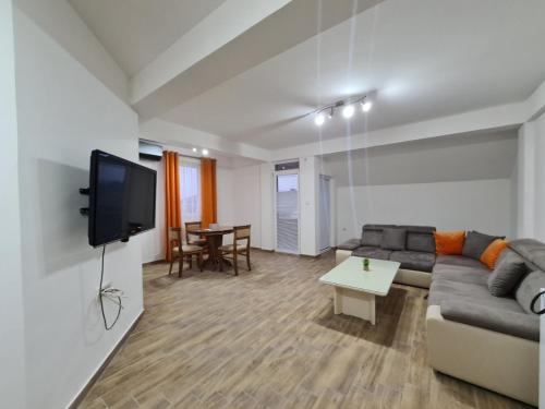 斯特鲁米察Happy apartments Strumica的带沙发和电视的客厅