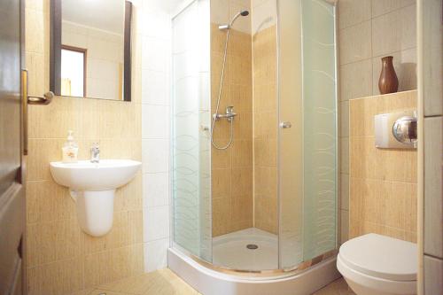 锡吉什瓦拉利亚公寓的带淋浴、卫生间和盥洗盆的浴室